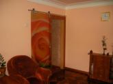 Frameless glass doors