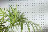 Types of glass
