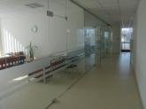 Glass partitions with pivot doors