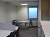 Glass partitions with pivot doors