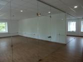 Glass partitions with pivot doors