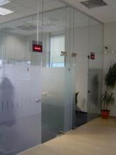 Glass partitions with pivot doors
